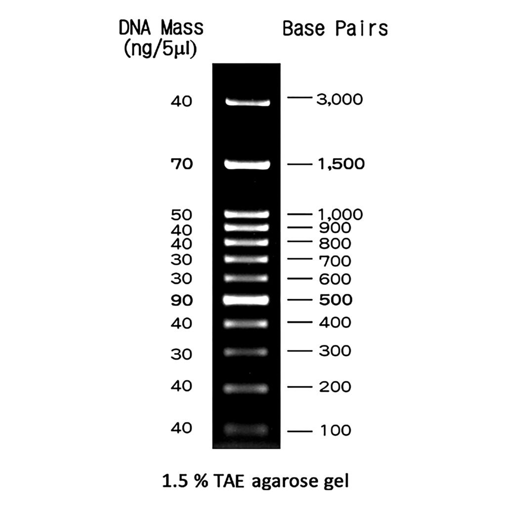 Fastgene 100 Bp Dna Marker Nippon Genetics Europe